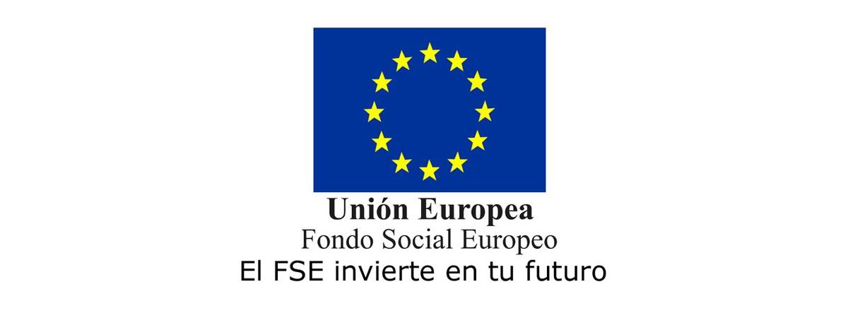 Logo FSE